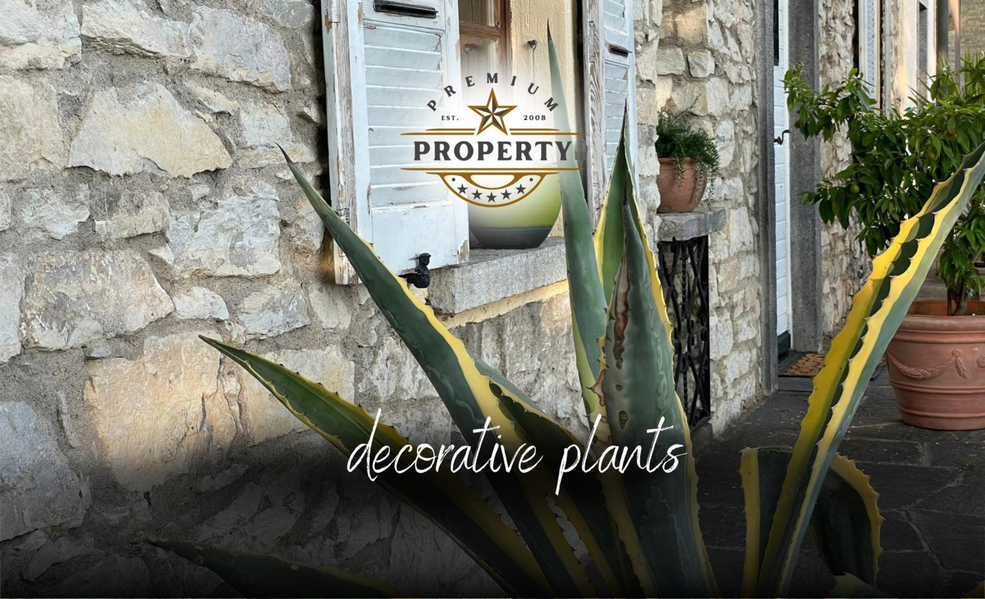 Magnificent Sunstone House, Private Parking, Bbq Area, Kids Toys, Near Como Lake I Villa Dei Leoni Morbio Inferiore Exterior photo